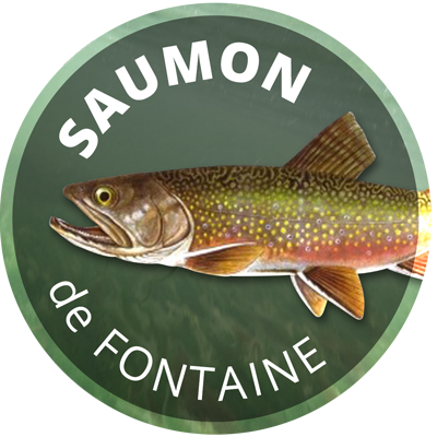 saumon des fontaines